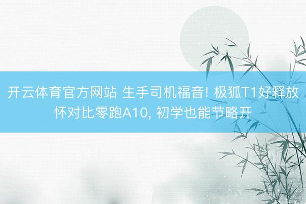 开云体育官方网站 生手司机福音! 极狐T1好释放怀对比零跑A10, 初学也能节略开